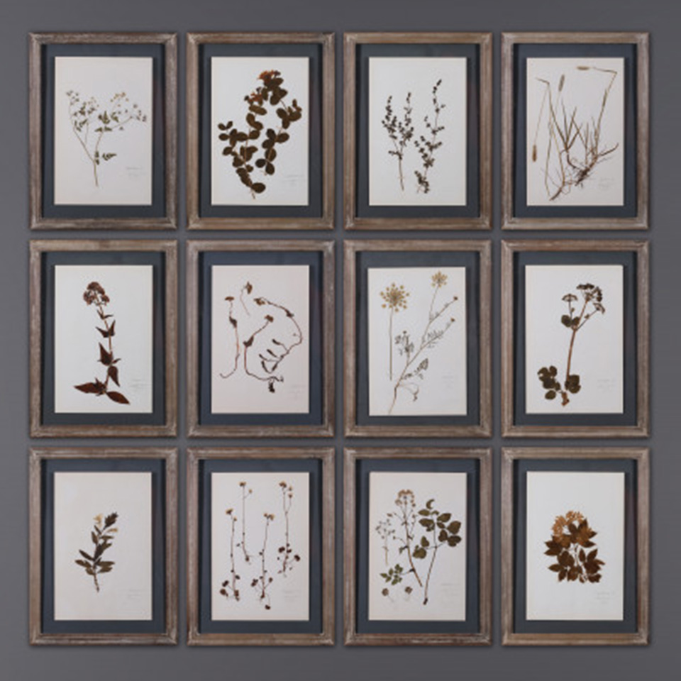 SOLD – Set Of 12 Old Herb Frames | Detail